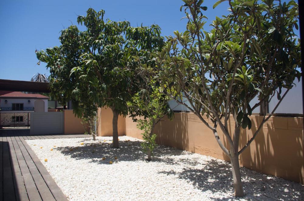 Villa La Marosca - Jacuzzi, Private Pool, 3 Bedrooms Caleta De Fuste Exteriér fotografie